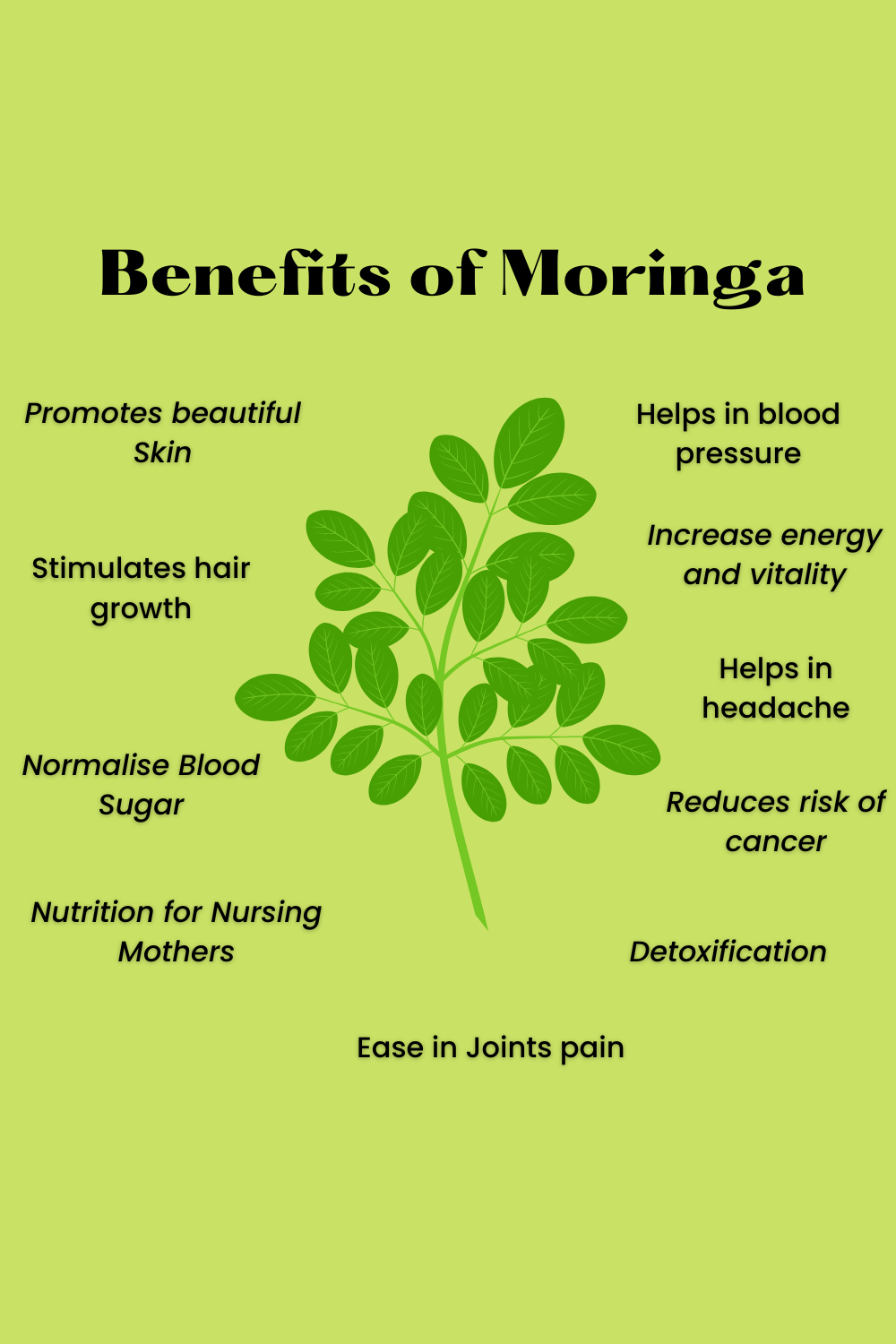 Bare Organics,Organic Moringa Leaf Powder