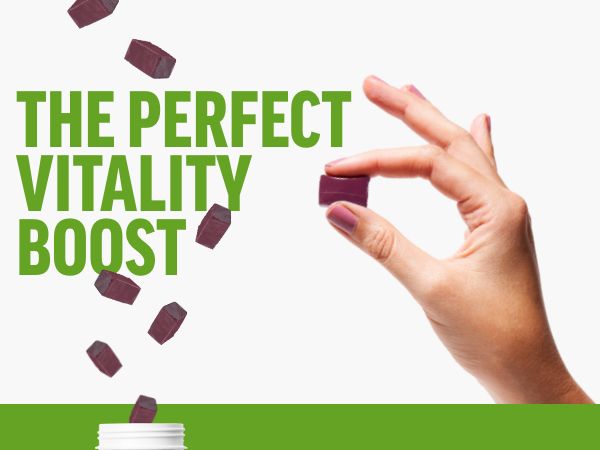 Force Factor perfect Maca Soft chews