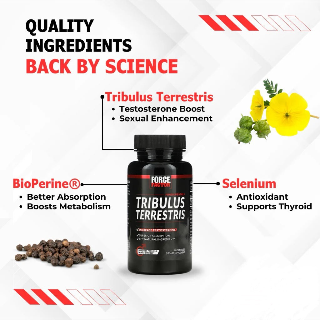 Force Factor Tribulus