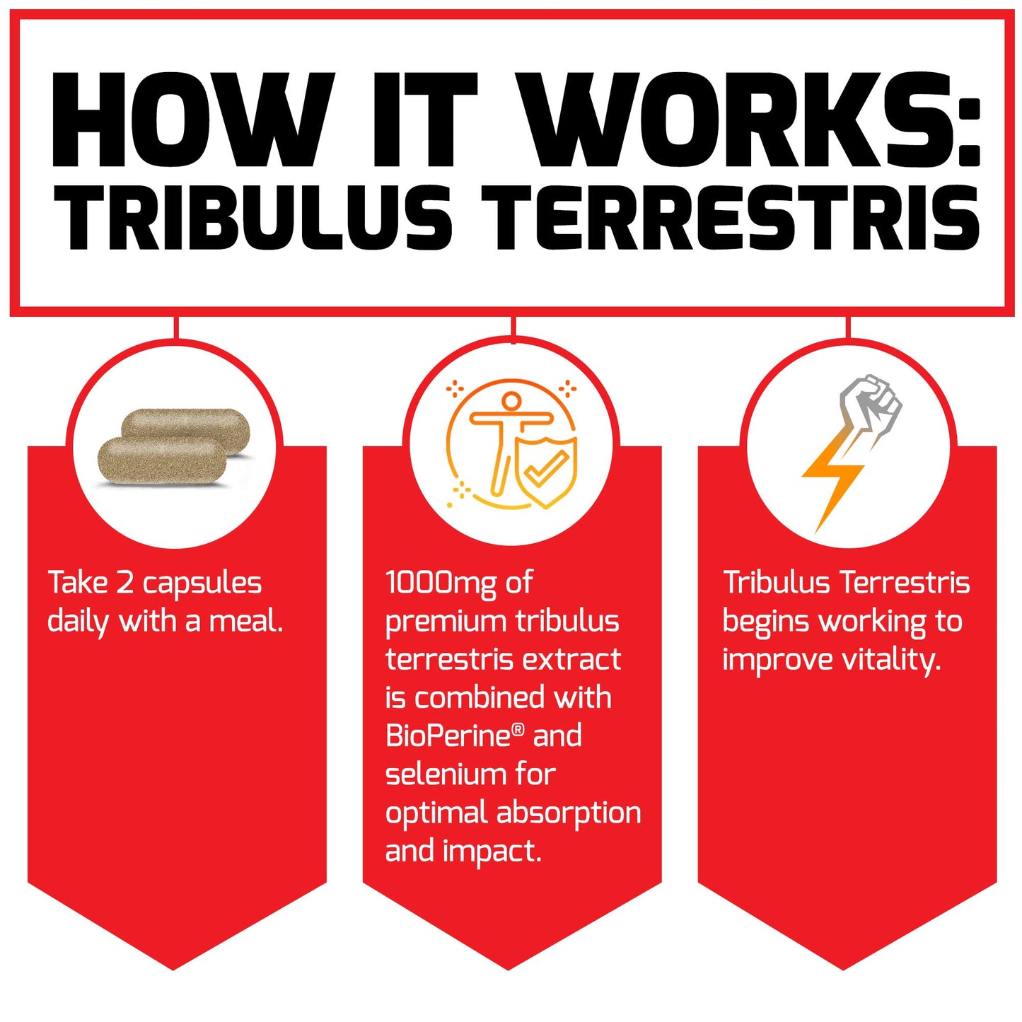 Force Factor Tribulus