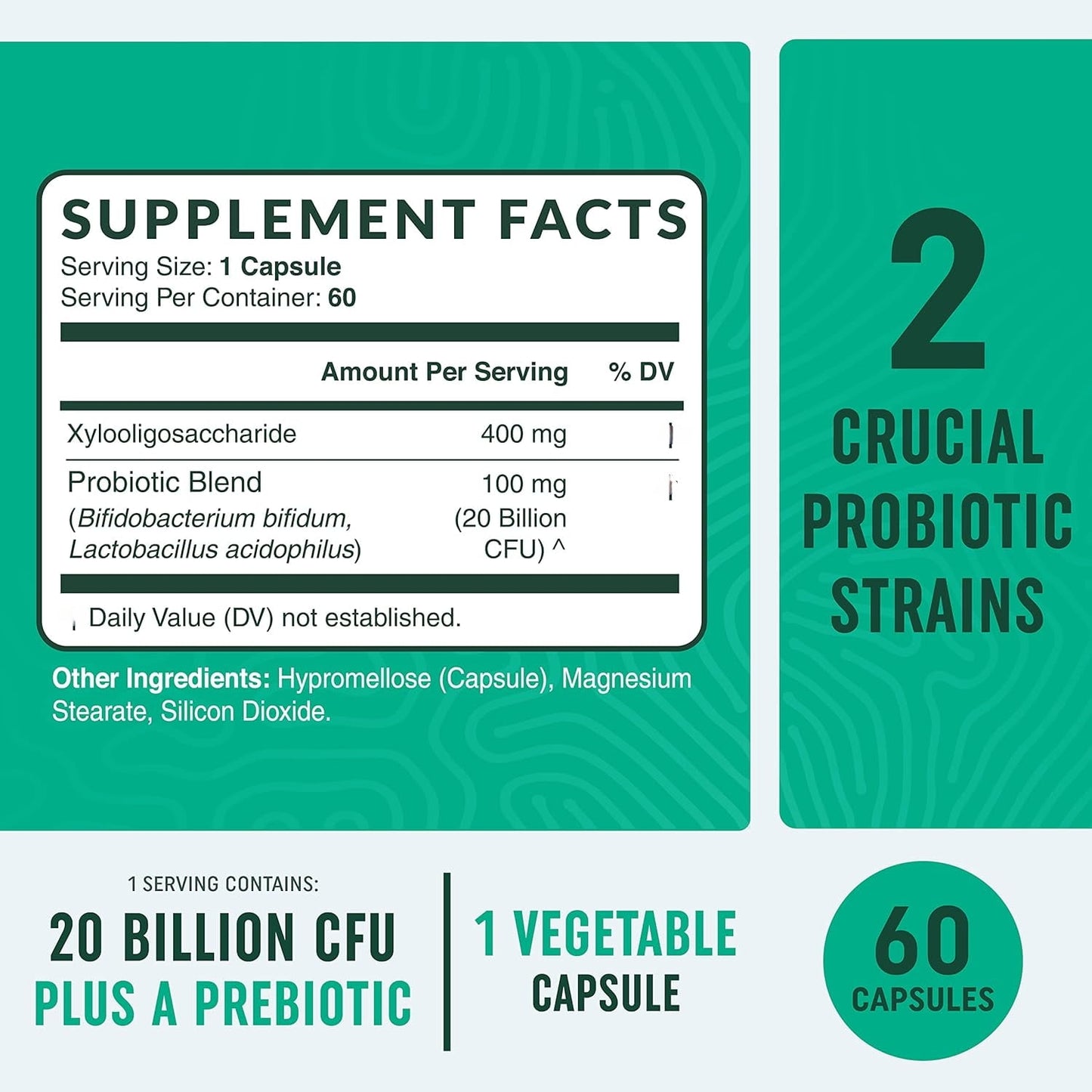 Pre-Pro Synbiotic, Pre + Probiotic Formula, 20 Billion CFU, 60 Capsules
