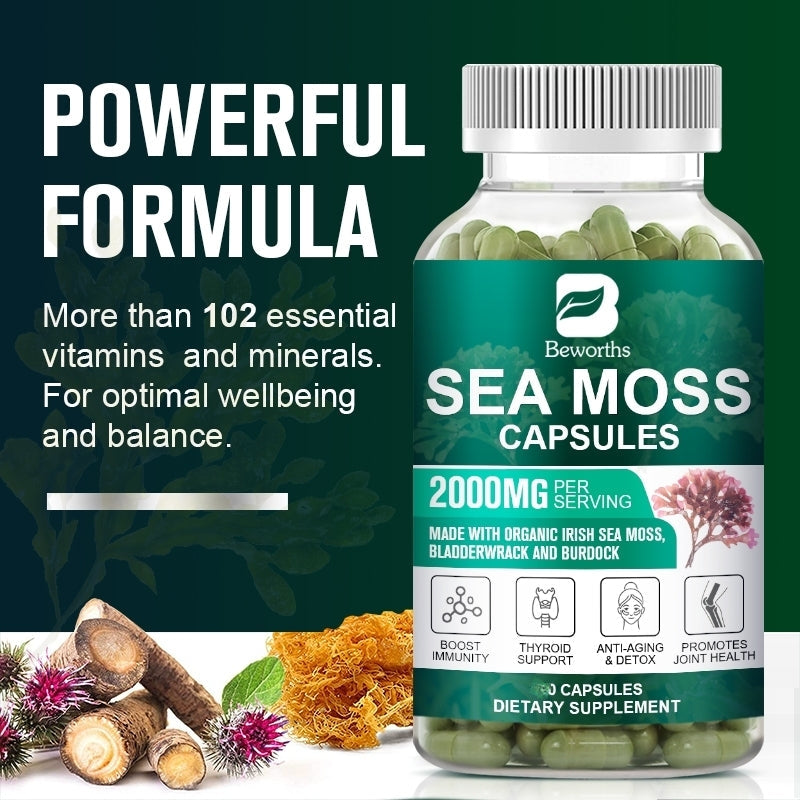 Sea Moss Capsules with Burdock Root, Irish Moss and Bladderwrack