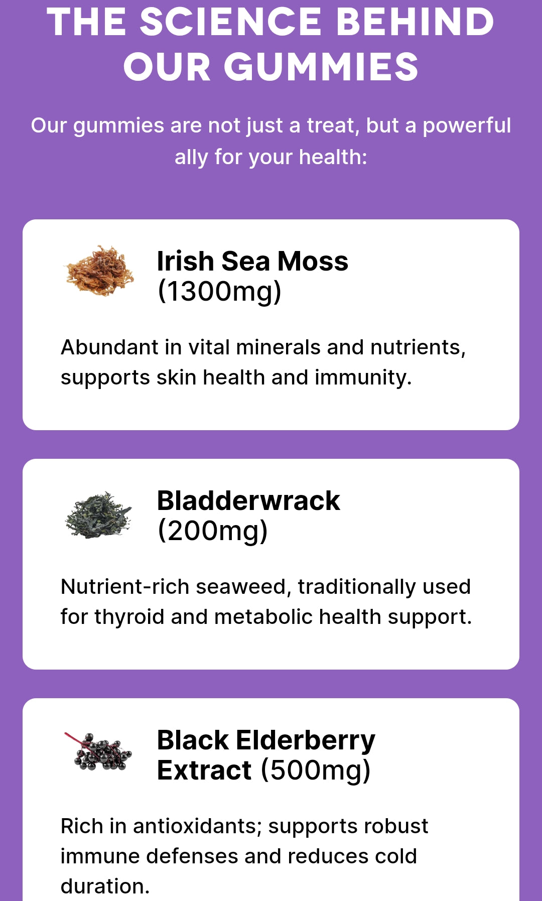 SAKOON SEA MOSS GUMMIES WITH ELDERBERRY & BLACK SEED OIL