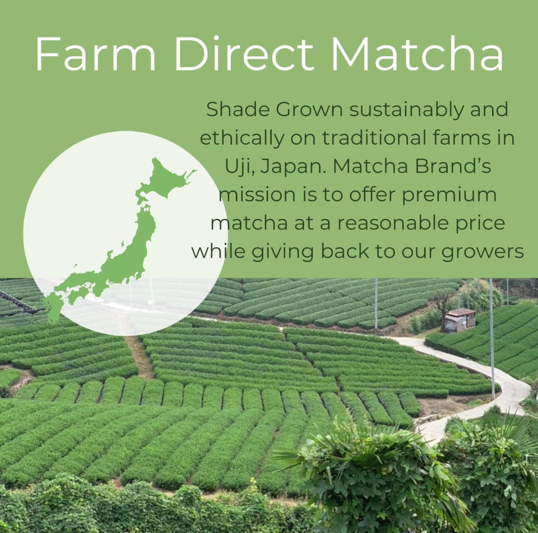Matcha Brand - Ceremonial Grade Organic Matcha Tea