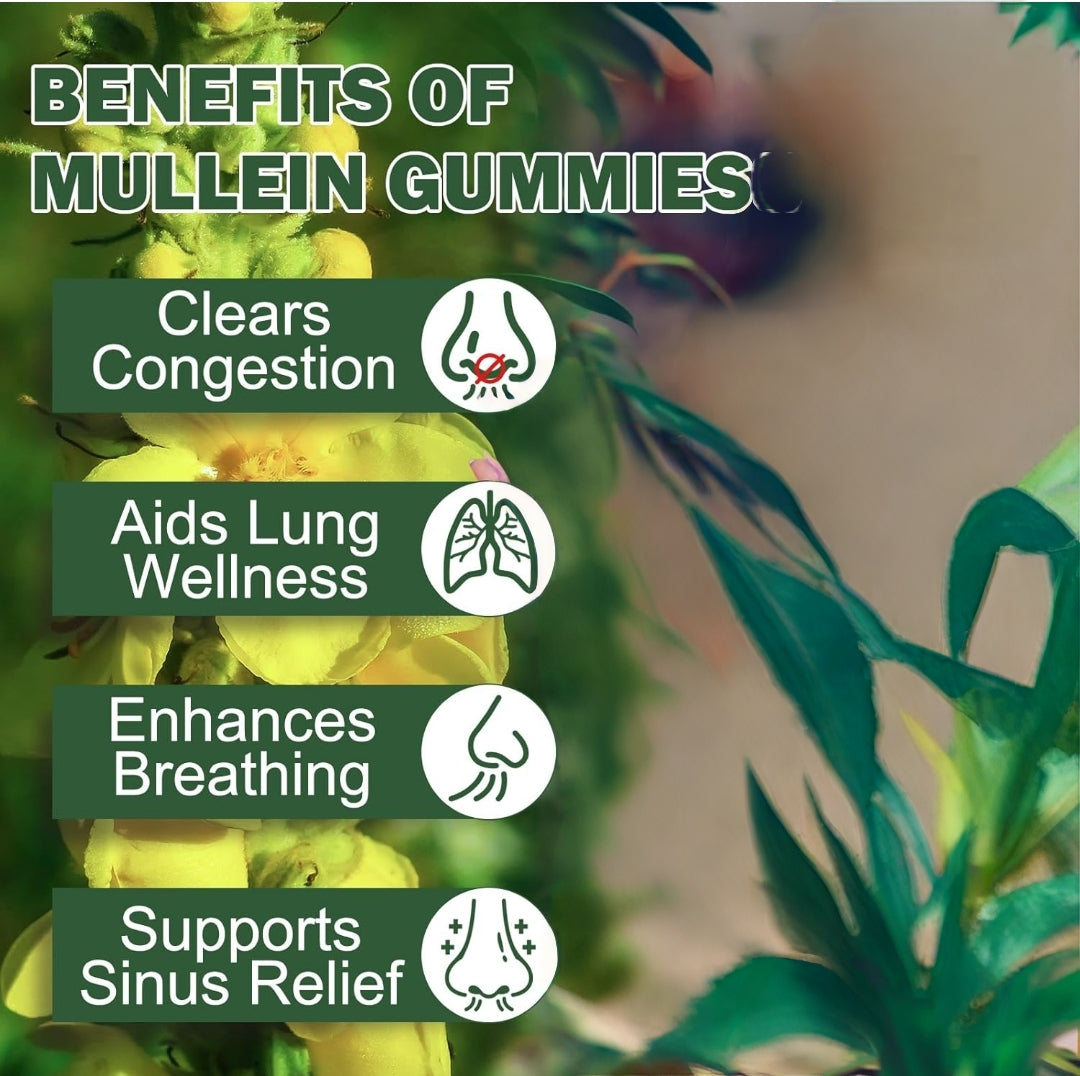 Mullein Gummies - Mullein Leaf Extract for Lungs, Mullein Leaf Gummies 2000mg