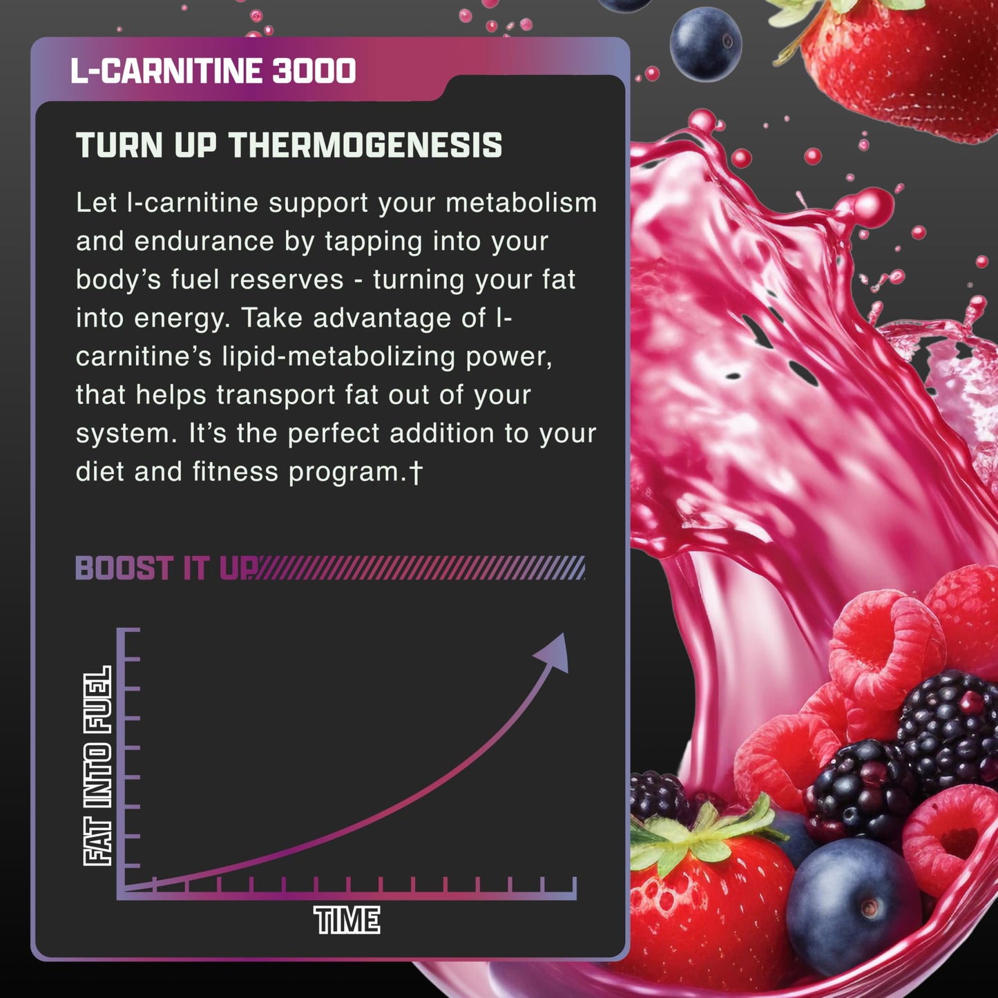 LIQUID CARNITINE 3000
Diet Support & Endurance