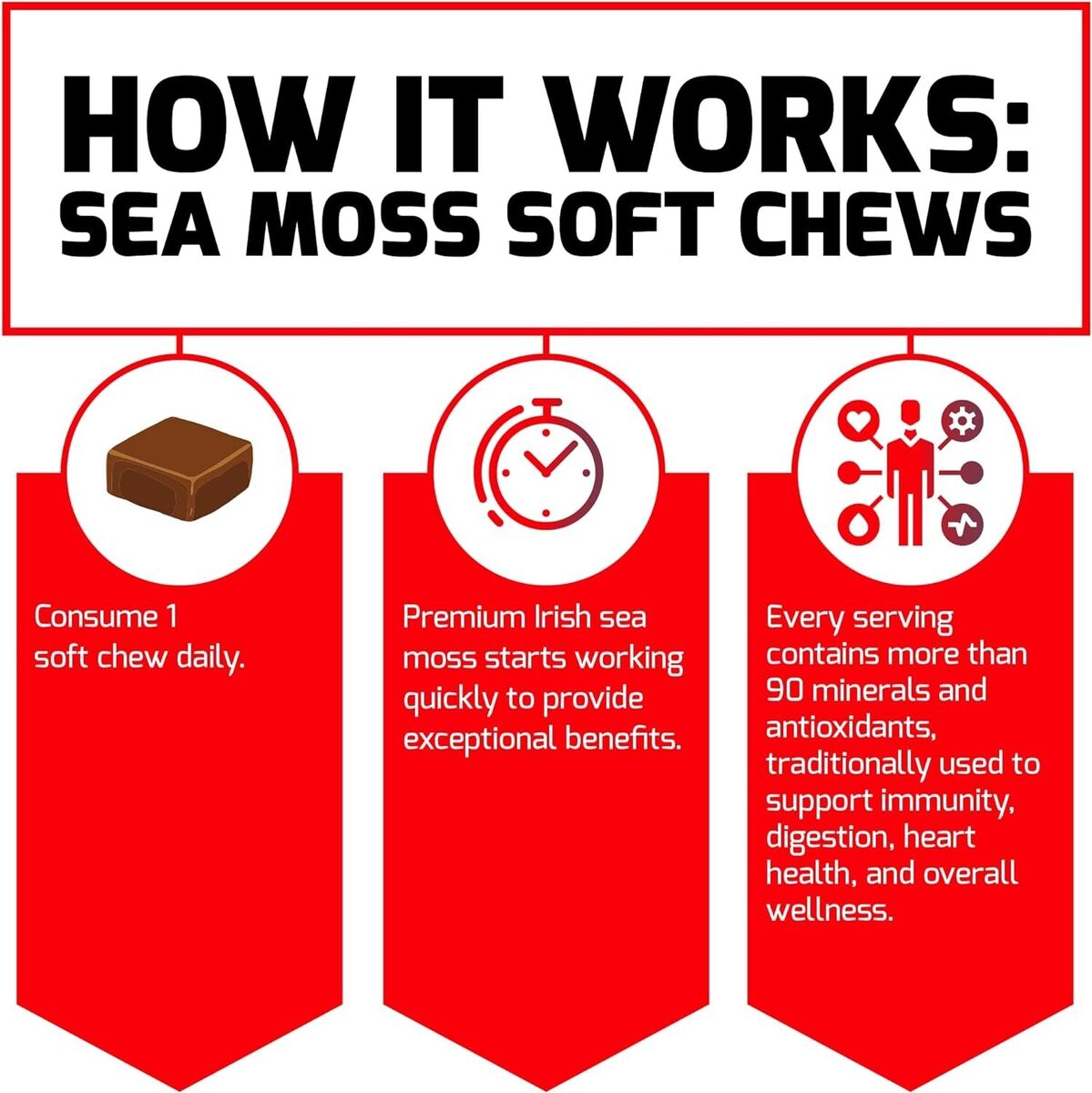 Fundamentals, Sea Moss, Salted Caramel, 30 Soft Chews
