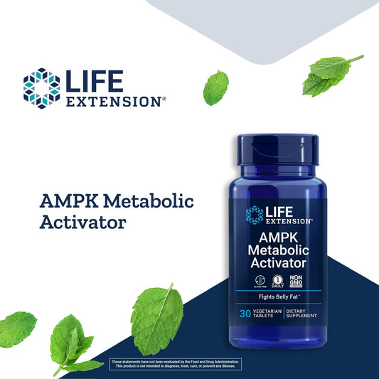 AMPK Metabolic Activator, 30 Vegetarian Tablets