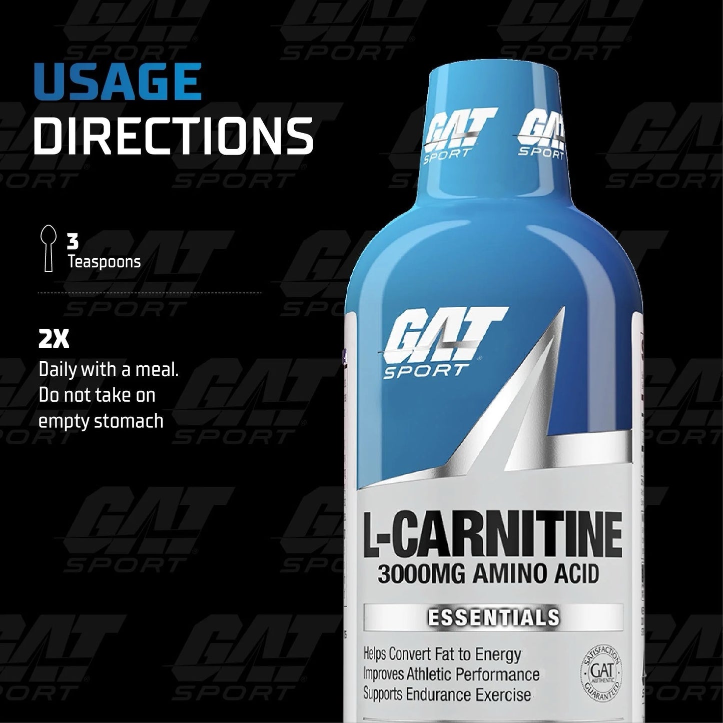 GAT Sport, L-Carnitine, 3,000 mg