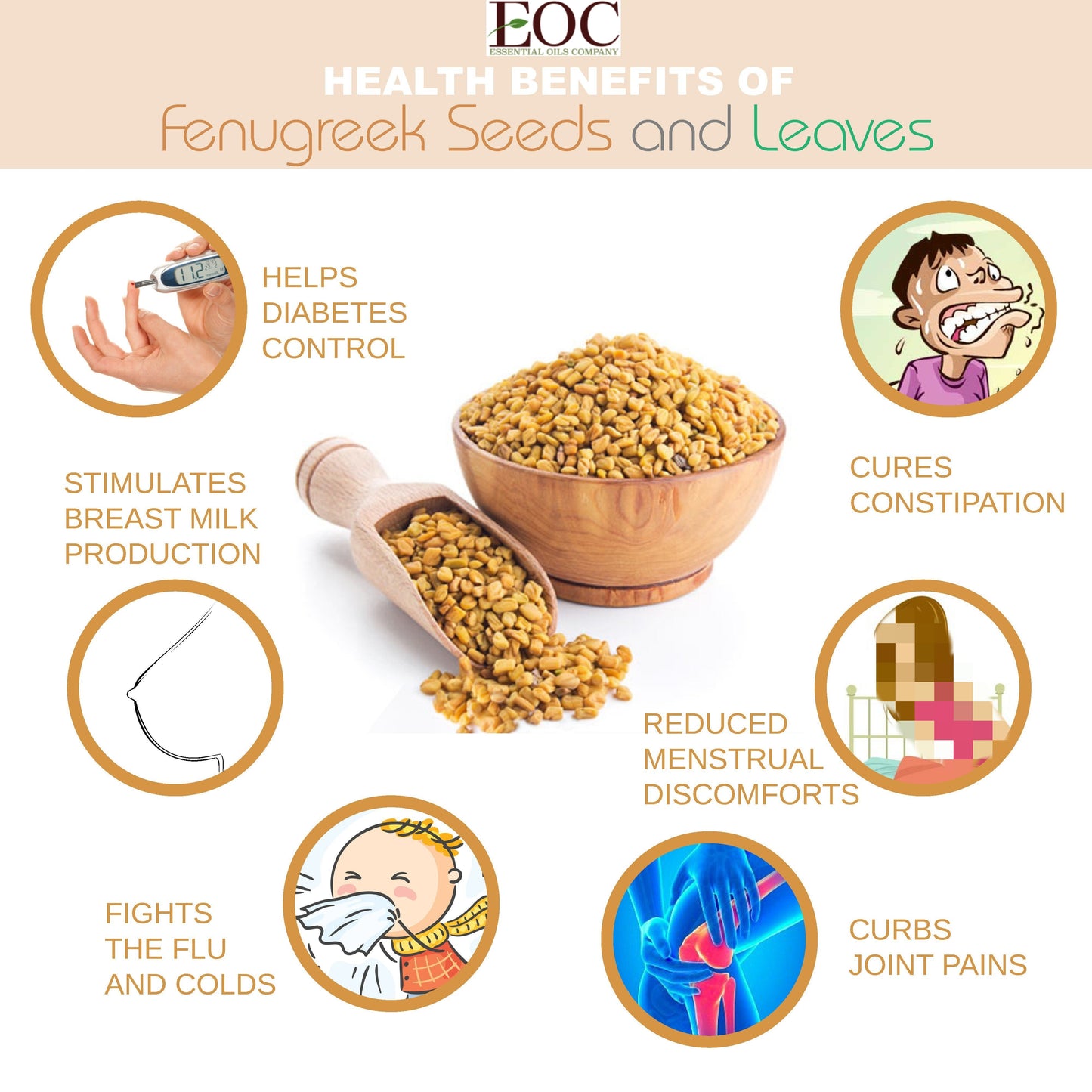 Fenugreek, 1,350 mg, (675 mg per Capsule)