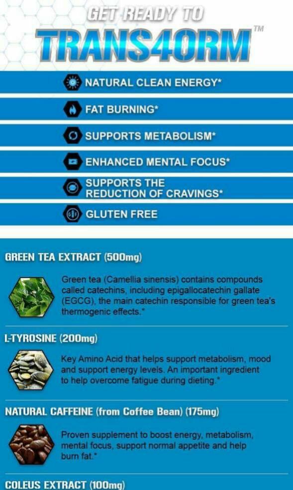 EVL Trans4orm, Energized Weight Loss Support