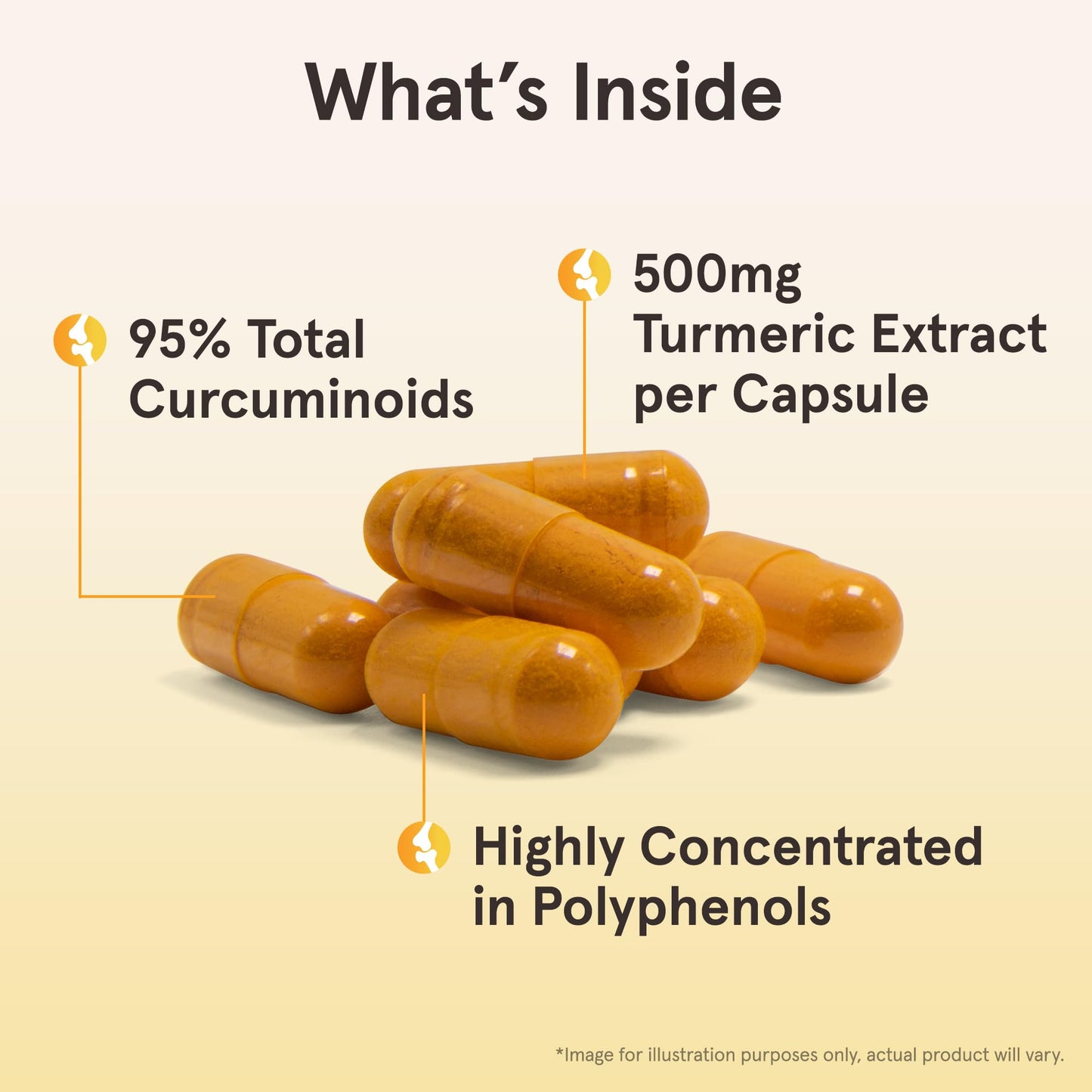 Lake Avenue Nutrition, Curcumin 95, 500 mg
