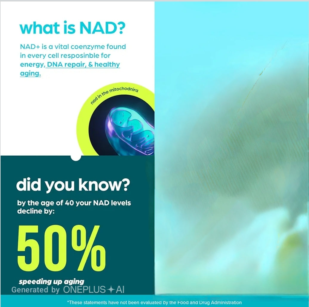 Thinbi NAD Supplement |Extra Strength NMN Alternative Liposomal + Green Tea for Women & Men