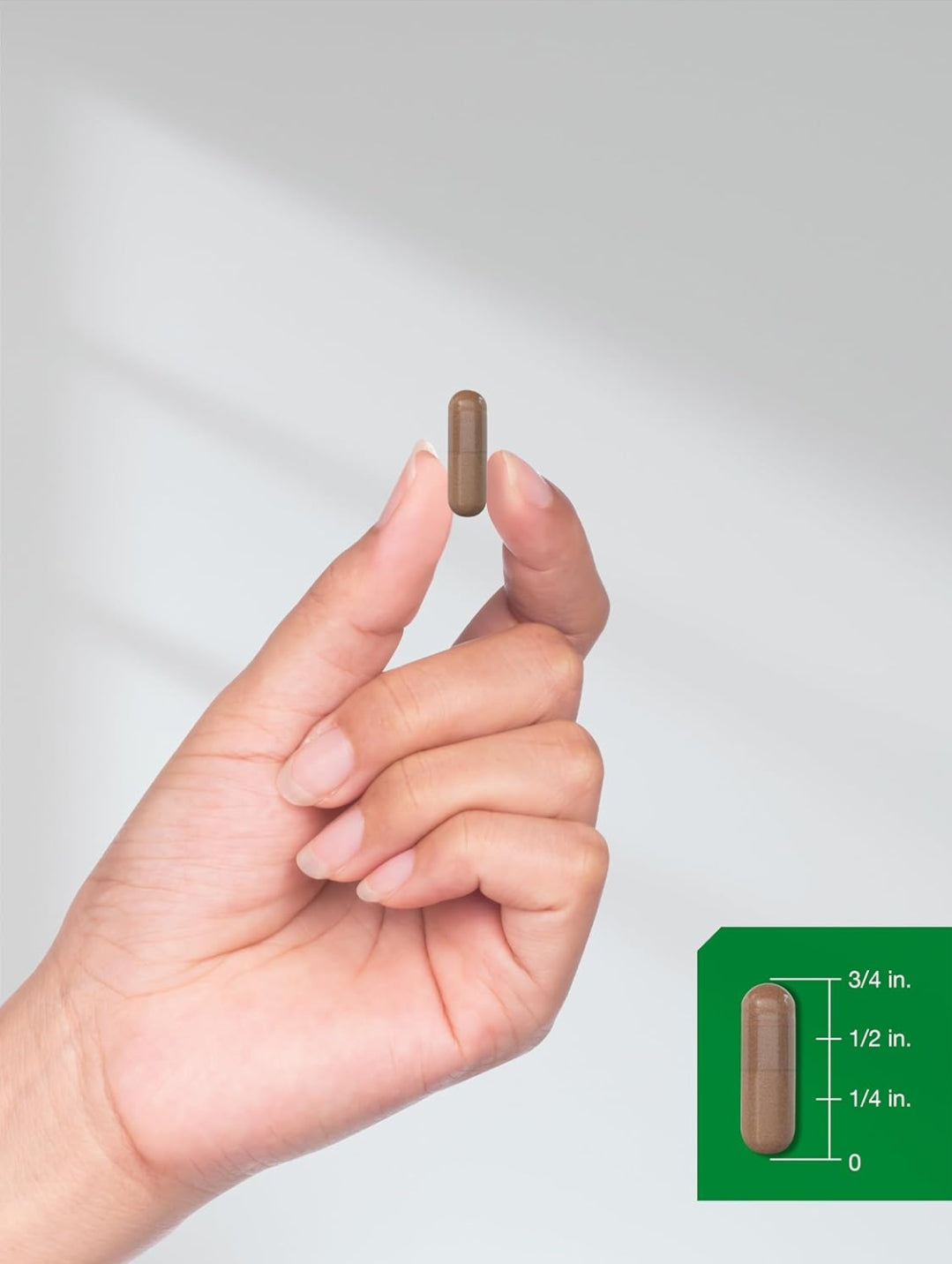 Horbäach Pine Bark Extract Capsules | 1500mg