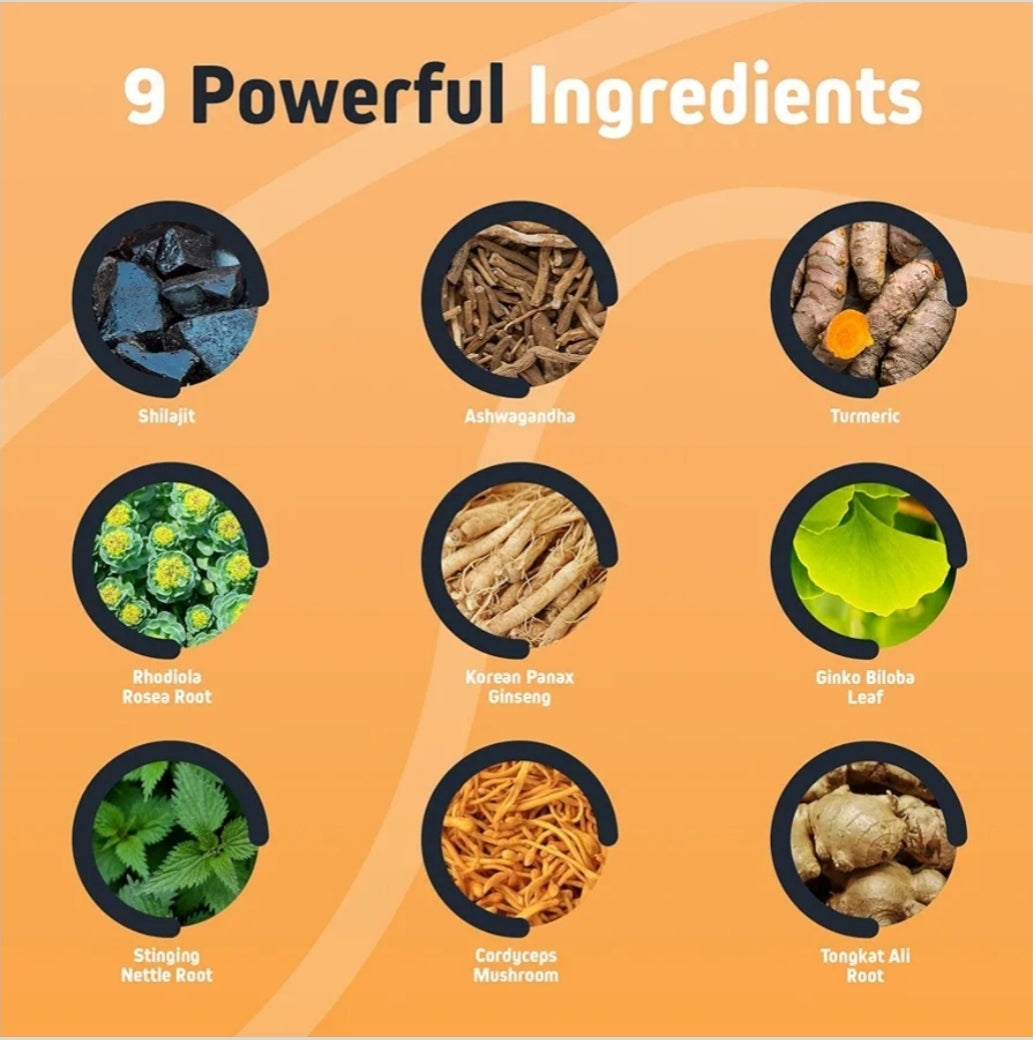 Herbtonics Shilajit with Ashwagandha, Korean Red Ginseng, Rhodiola Rosea, Ginkgo Biloba, Tongkat Ali | Fulvic Acid & Minerals