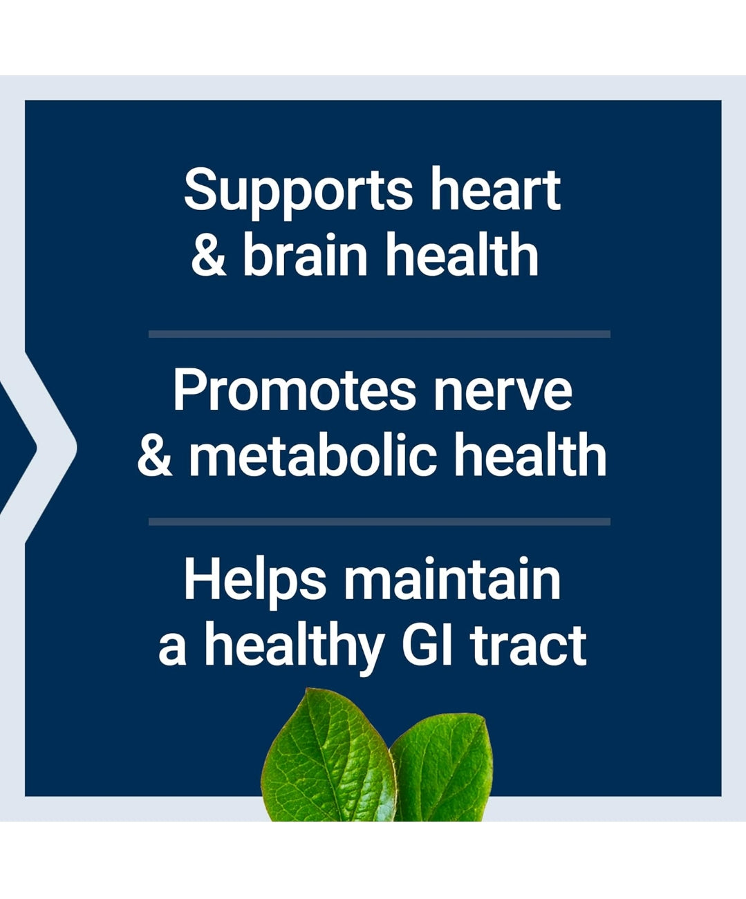 Life Extension BioActive Folate & Vitamin B12
